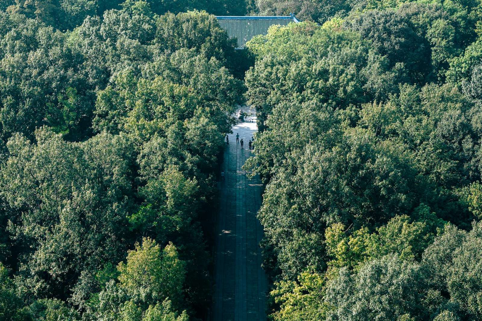 谷歌浏览器 macOS 常见问题与排查 202604：跨平台同步与 M 系列芯片性能优化指南